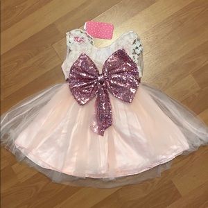 Baby Girl's Lace Decor Tulle Party Dress